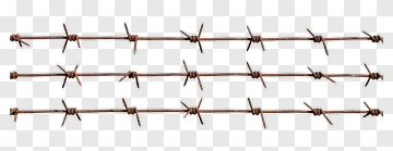 Barbed Wire Fencing PNG