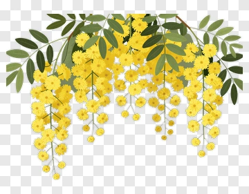 Yellow Flowering Branch With Green Leaves PNG
