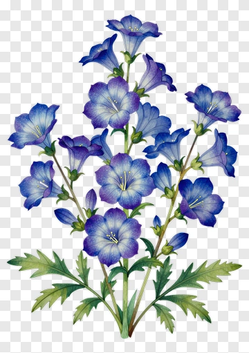 Colorful Bluebell Flowers PNG