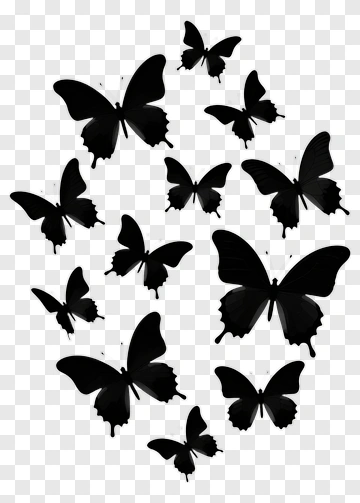Black Butterflies Silhouette PNG
