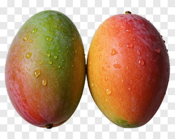 Fresh Mangoes With Water Droplets PNG