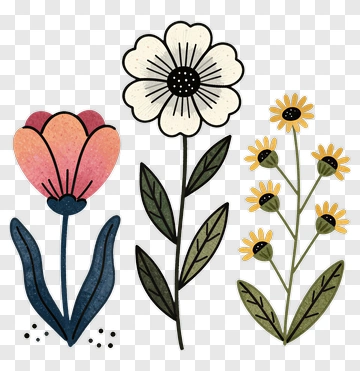 Colorful Floral Illustration PNG