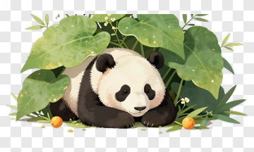 Panda Lying Among Green Leaves PNG