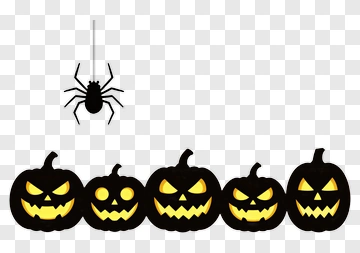 Halloween Pumpkins With Spider PNG