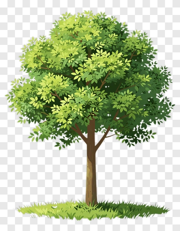 Colorful Tree PNG