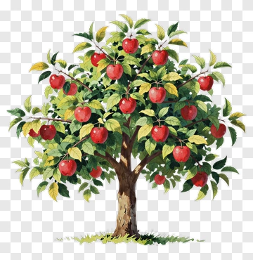 Apple Tree With Red Apples PNG