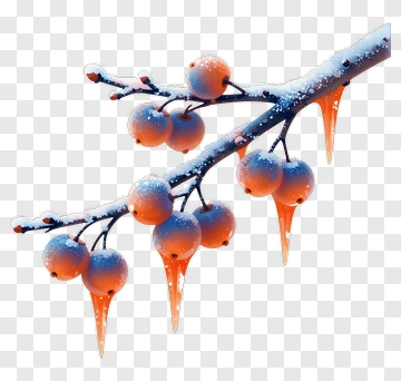 Snowy Branch With Orange Berries PNG