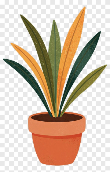 Colorful Potted Plant PNG