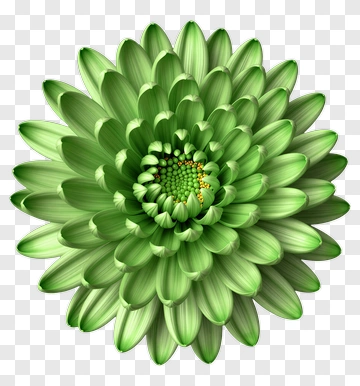 Green Flower PNG