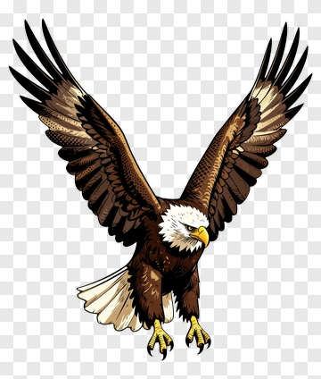 Eagle In Flight PNG