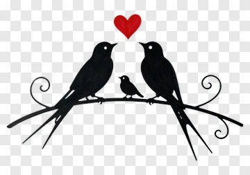 Love Birds On A Branch PNG