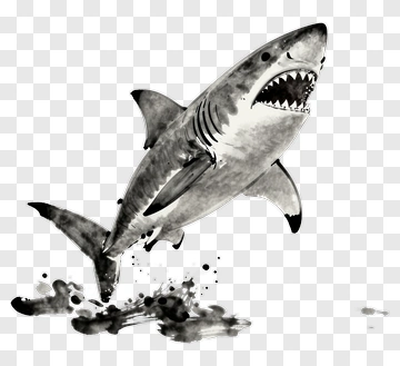 Shark Jumping Out Of Water PNG