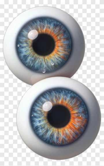 Realistic Blue And Orange Human Eyeballs PNG