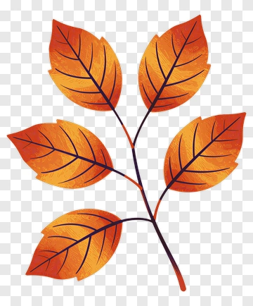 Colorful Autumn Leaves PNG