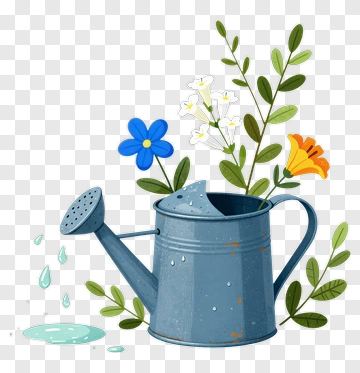 Watering Can With Flowers PNG