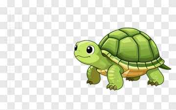 Cartoon Turtle PNG