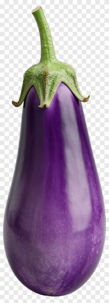 Fresh Purple Eggplant PNG