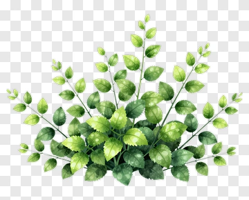 Colorful Leaf Arrangement PNG