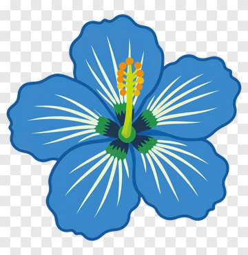 Blue Hibiscus Flower PNG