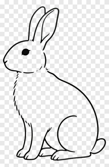 Cartoon Rabbit PNG