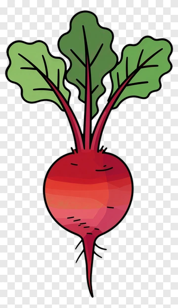 Cartoon Radish With Green Leaves PNG