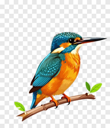 Colorful Kingfisher Bird On A Branch PNG