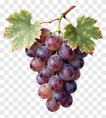 Bunch Of Grapes With Green Leaves PNG