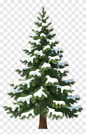 Snowy Pine Tree PNG