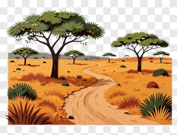 Desert Landscape With Acacia Trees And Dirt Path PNG