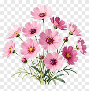 Pink Flower Bouquet PNG
