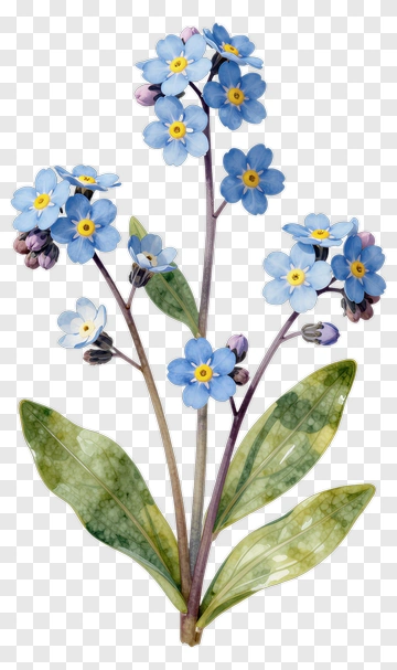 Watercolor Blue Flower Bouquet PNG