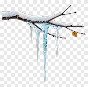 Icicles Hanging From A Snowy Branch PNG
