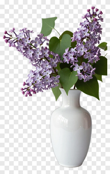 Lilac Flowers In A White Vase PNG