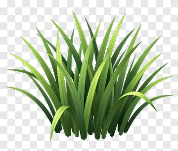Realistic Grass Clump PNG