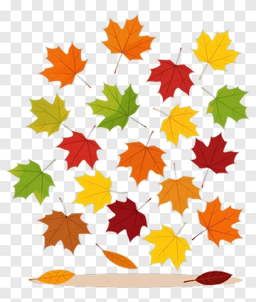Colorful Autumn Leaves PNG