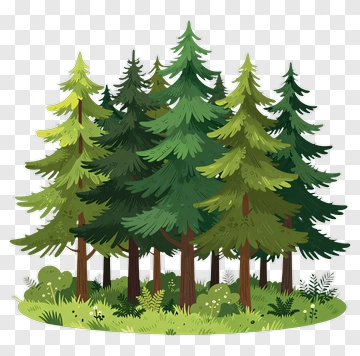 Colorful Forest Of Pine Trees PNG