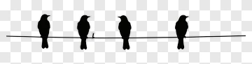 Silhouette Birds Sitting On A Wire PNG