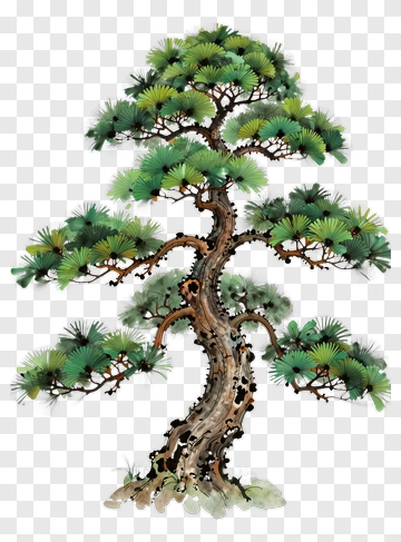 Colorful Pine Tree PNG