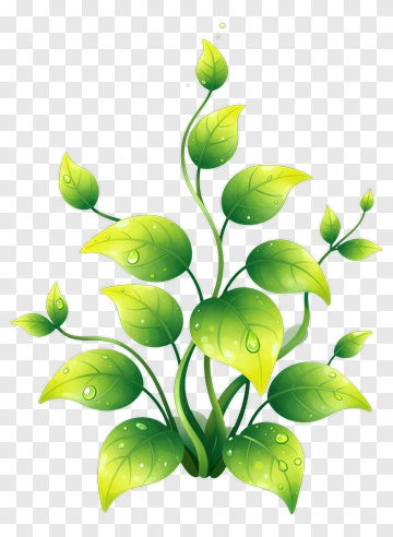 Colorful Green Plant With Leaves PNG