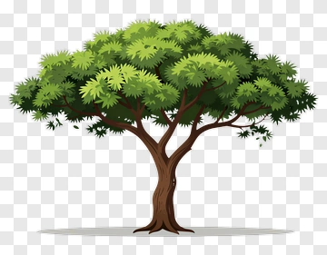 Colorful Tree PNG