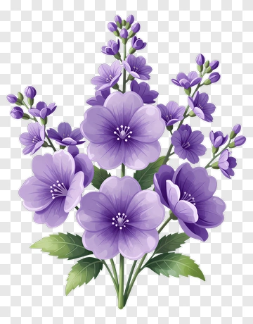 Colorful Flower Bouquet PNG