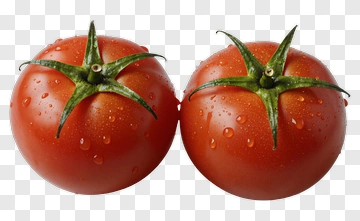 Fresh Red Tomatoes With Water Droplets PNG