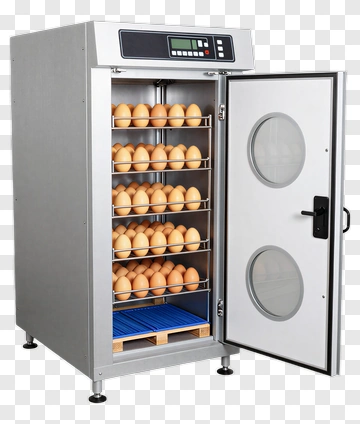 Egg Incubator With Visible Eggs PNG