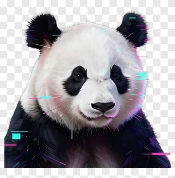 3D Panda With Colorful Visual Effects PNG