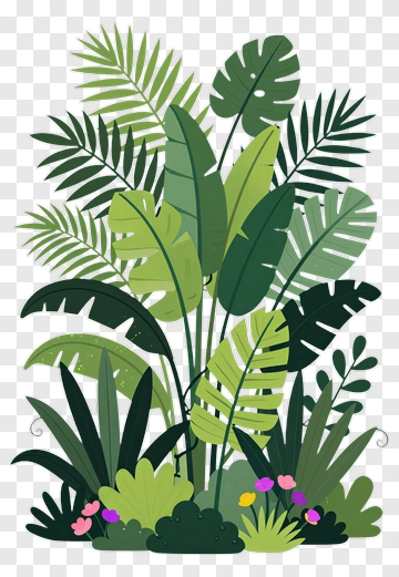 Colorful Tropical Plants And Leaves PNG