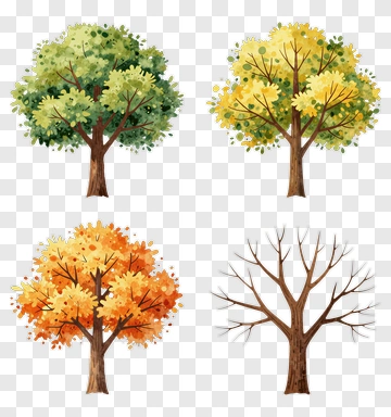 Colorful Tree Collection PNG