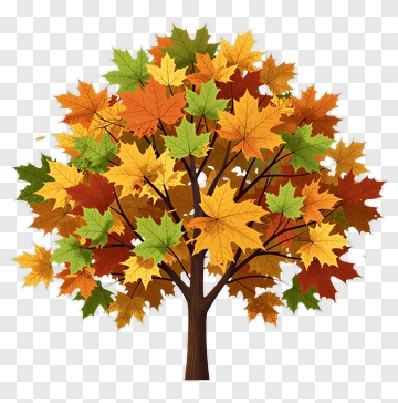 Colorful Tree With Autumn Leaves PNG