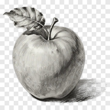 Black And White Apple With Leaf PNG