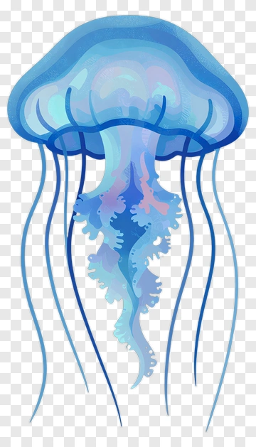 Blue Jellyfish Illustration PNG