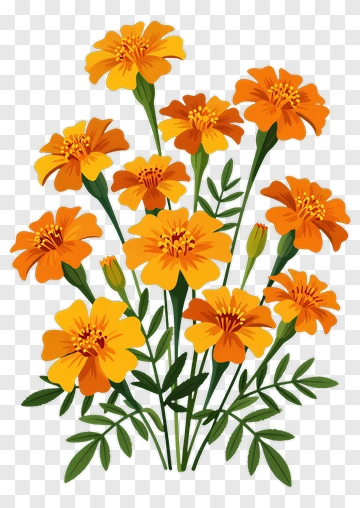 Colorful Marigold Flower Bouquet PNG